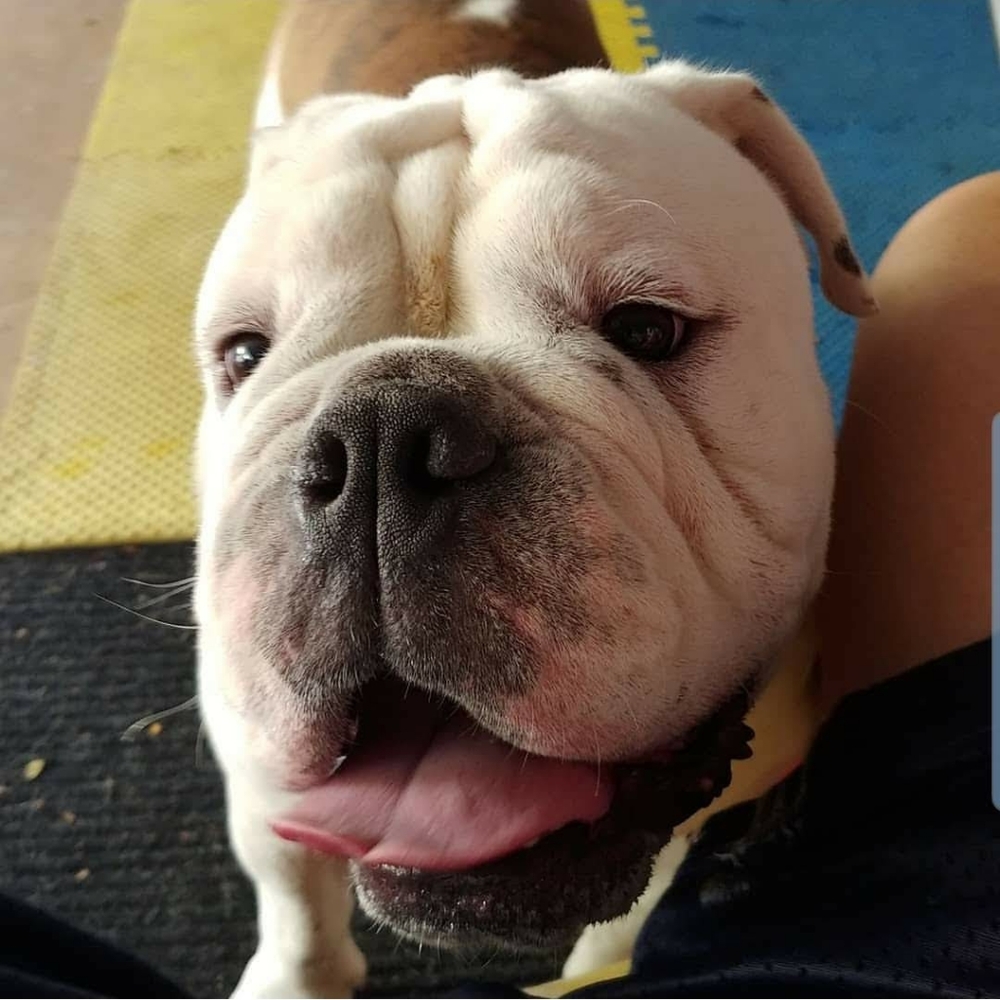 Meet your Posher, Jeff